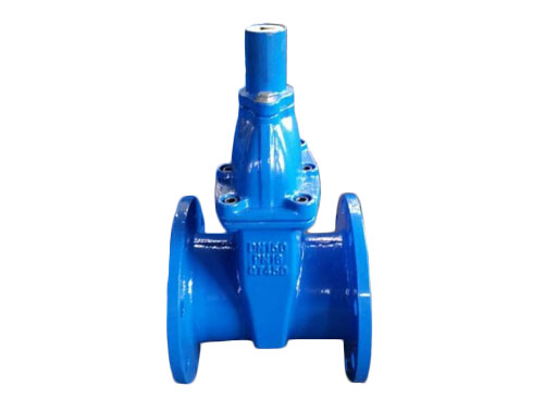 锁闭软密封闸阀